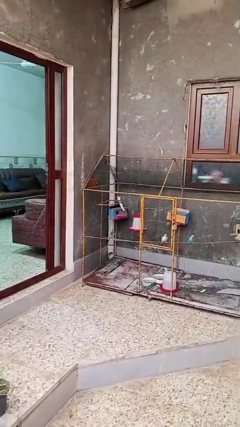دار للبيع 150م طابو زراعي سند 25 مكاتبه ووكاله منطقة سكنية متكاملة  بناء حديث  غرفتين نوم واستقبال وصاله ومطبخ وصحيات داخليه وخارجية الثاني صاله وصحيات وبيتونه شارع عرضه  12م أرصفة ومجاري واناره وماء وكهرباء وتبليط وخط مولد بعقوبة بهزر حي القادسيه قرب اسواق سنبله السعر 100 مليون وبي مجال للشراي تفاصيل اكثر داخل الفيديو للاستفسار خاص او ***********
