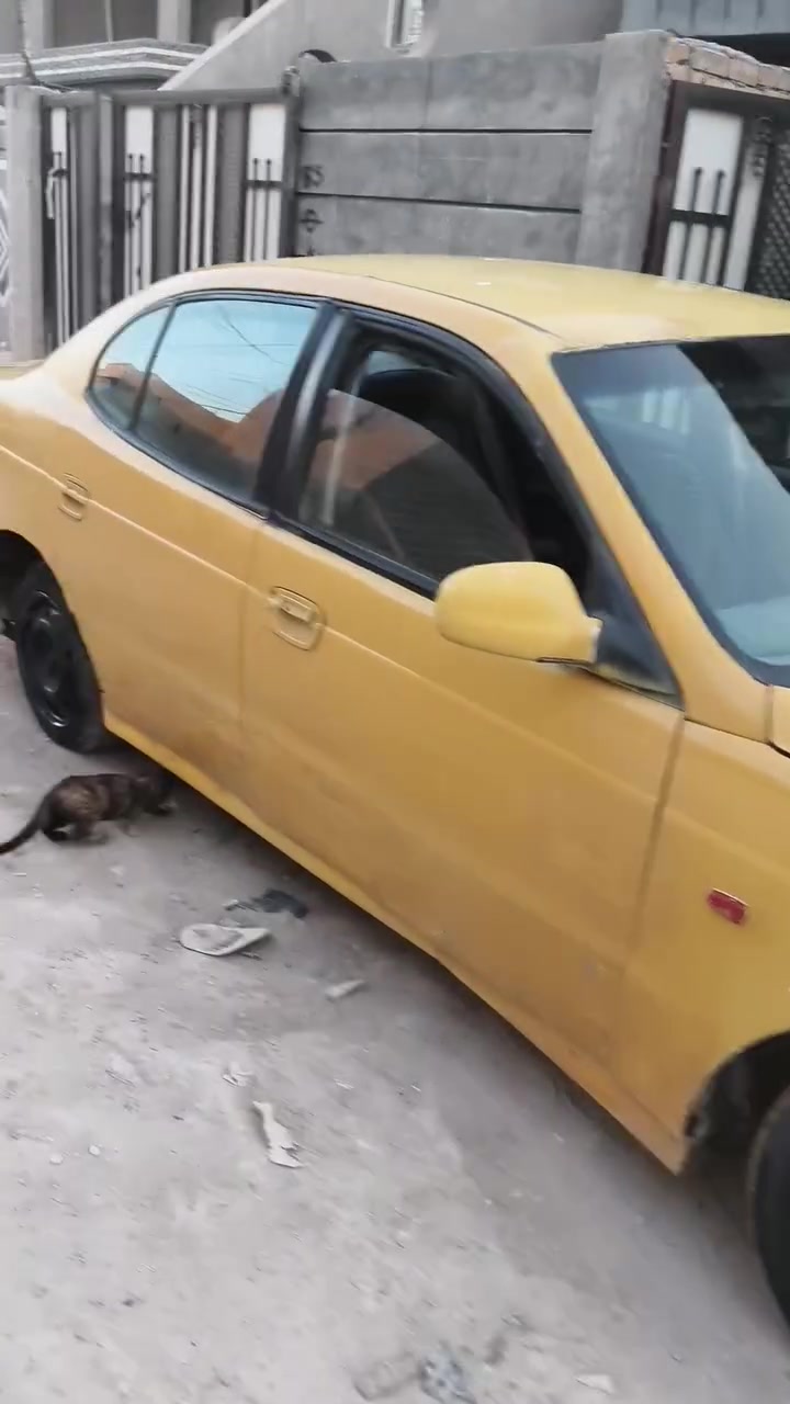 نوبره مكينه كير مكفول سعر 12 بدرن راعي مكان الحله شراي يتصل ***********
