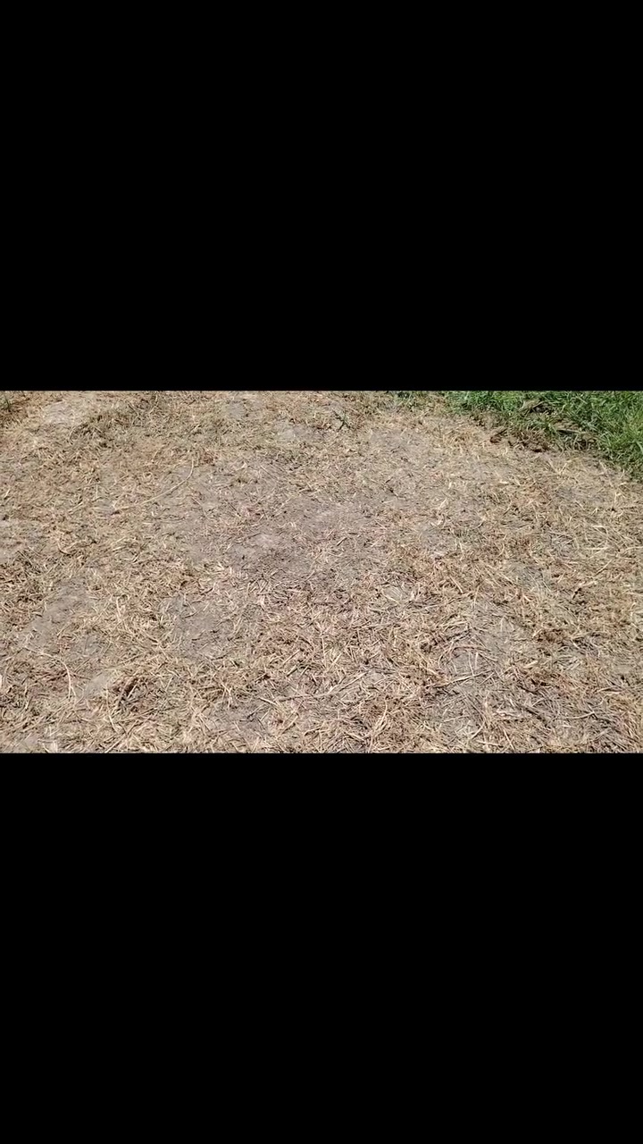 (متوفر)   (راوند اب) ✅ 
الحل النهائي للكصب والحلفه والنباتات المعمره والحوليه  
مبيد عام جذري  جهازي  ينزل  للجذور 

 اي استفسار مراسله الصفحة الرئيسية
***********
 #مبيدات #مبيد_حشرات#ثيل #زراعيه #مجذر #نافوره#ثيل #لوبيه #مبيدحنطه #ارواق_رفيعه #حله#بغداد
