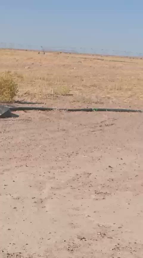 ارض زراعيه للبيع مساحتها ١٥٠دونم عقد ٢٤ بيها مرشات ومحولة كهرباء وماطور خاصه للأرض وجها عالتبليط مباشر وعلى نهرالناظم الارض جاهزه للزراعه سعرالدونم مليون و٤٠٠ بيع سريع التواصل ***********

