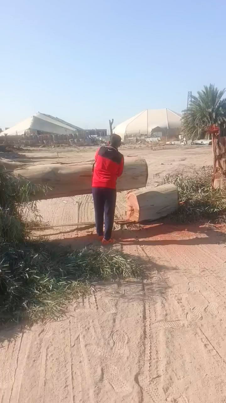 اشتري انوع الخشب او تنضيف البستان *********** /***********
