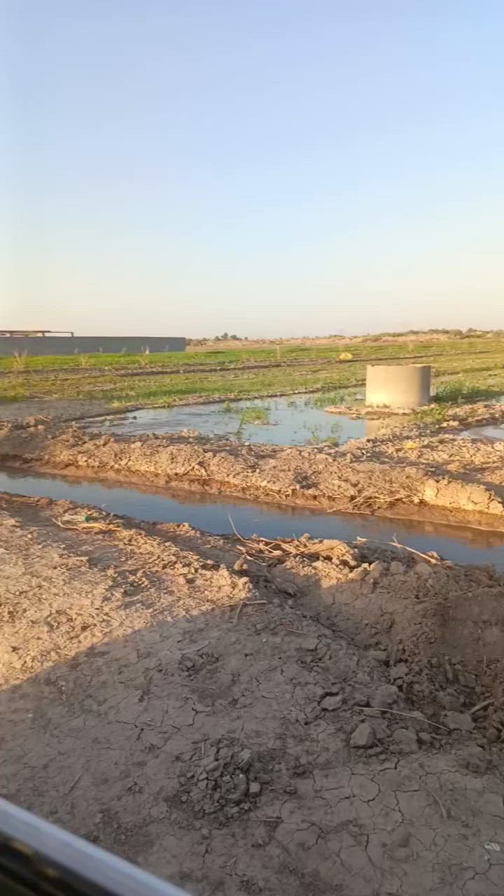 دوانم طابو زراعي سند 25ابو غريب عشره مناصير تصلح سكن وشاليهات سعر الدونم 60 رقمي واتساب ***********

