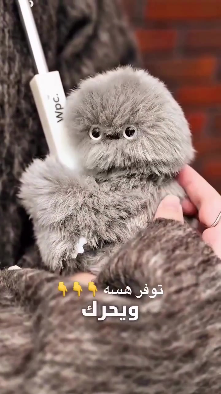 سلام عليكم توفر لدينا ترند جديد نيروبي عنوان ديالى بعقوبه تقاطع القدس دور زراعه رابعه ***********
