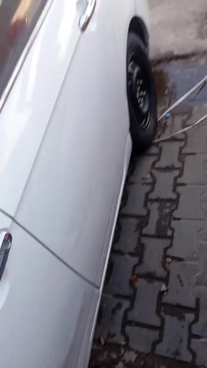 تخم ويل مراوس بويل كب ليفان***********
