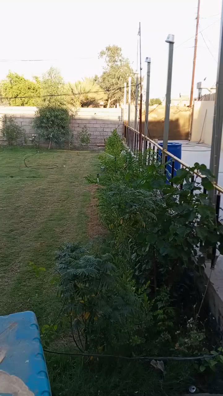 ***********. العنوان شارع علي الخضير
