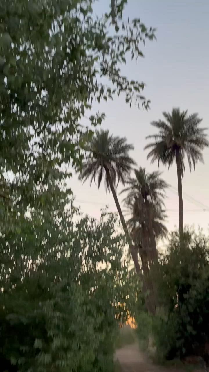 نامه شلامجه شاصي ارشه ١٩ تعميره ٢٥ اوراق سكنر السعر ٥٥٠ وبيها مجال المكان ناحيه الامام قرب مرقد علي ابن الحسين التواصل ***********
