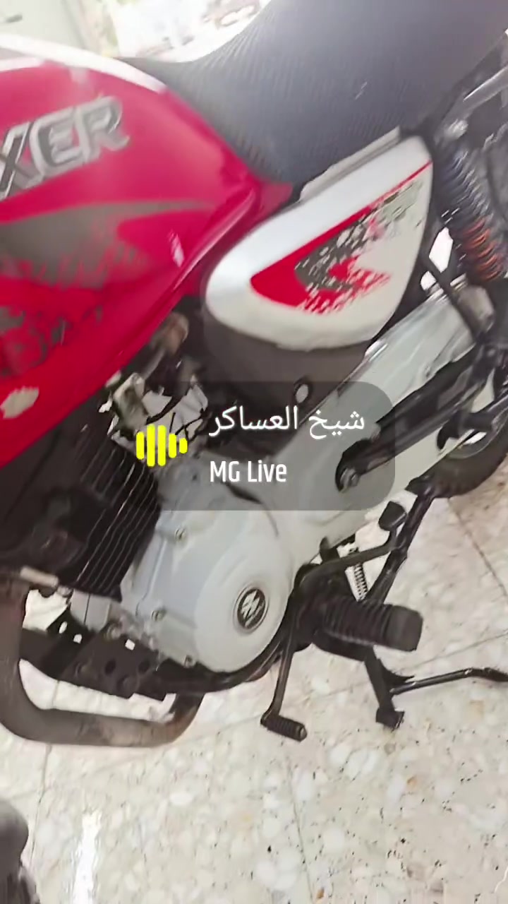 السلام عليكم دراجه بوكسر جبلي موديل 22 دراجه خير من الله مكفوله كفاله عامه اوراق اصولي شرط الترقيم السعر مليون250بيها مجال حك الجيه عنوان بغداد شارع المغرب 
***********
