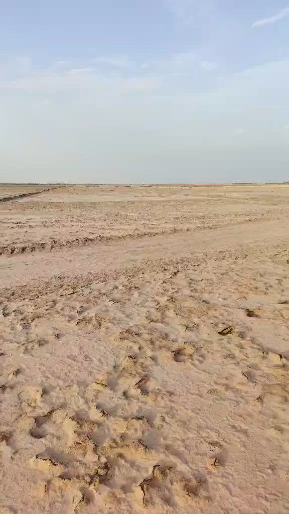 ارض زراعية ٢٠ دونم طابو ٢٥ مداور لمته تريد  طريق النجمي نزلة العلوية زويطه تبليط واصل للارض وتبعد عن شارع النجمي الرئيسي كيلو ونص. السعر جدا جدا مناسب فقط اب4مليون.  للدونم الواحد. 🌺🌺🌺🌺🌺


**إذا كنت صاحب هذا الإعلان وتريد حذفه لأي سبب، رجاءا أرسل رسالة إلى الدعم الفني**