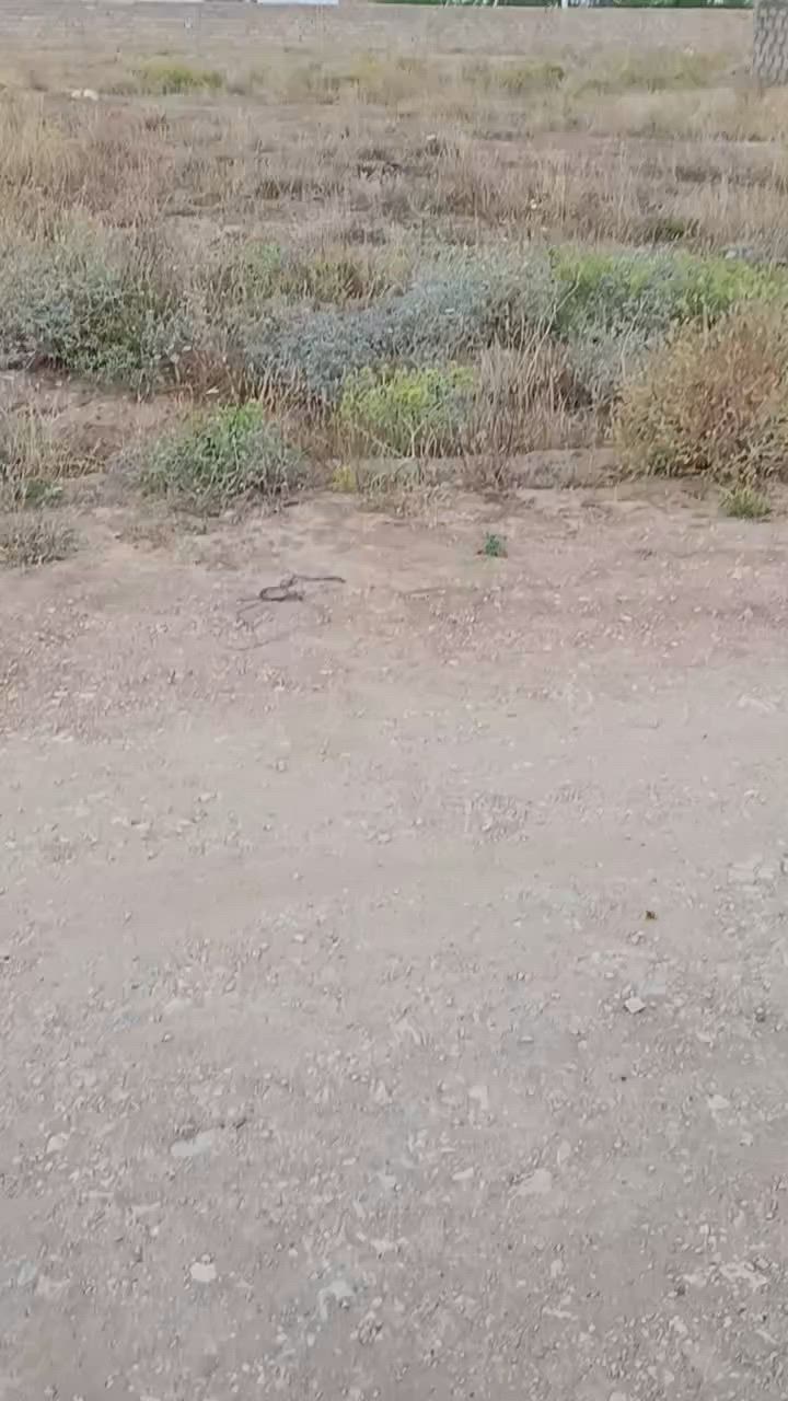 قطعة أرض للبيع في مجمع ساسان
ارقام صاحب القطعة ***********
                              ***********
