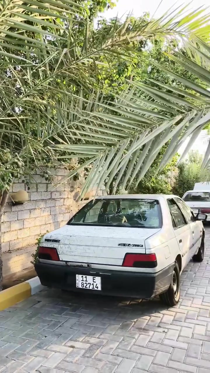 الـسـلام عـلـيـكـم
سـيـارة بـيـجـو ( 405 )
 غـرفـتـهـا نـظـيـفـة كـهـربـائـيـاتـهـا شـغـالـة تـخـم تـايـر شـادلـهـا گـاعـيـتـهـا جـلـد تـبـريـدهـا شـغـال ورقـمـهـا إنـگـلـيـزي( بـغـداد ) الـسـيـارة بـأسـمـي أداور ثـانـي يـوم وسـنـويـتـهـا لـ 29 موديلها 2012
مـكـانـهـا نـجـف ويـاهـا حـداديـة كـامـلـة بـالـصـنـدوق
مـحـركـهـا بـي تـنـقـيـص دهـن . 
للأسـتفـسار الأتـصـال على الـرقـم *********** بـي واتـس آب
مـا مـتـواجـد على الـفـيـسبوك
