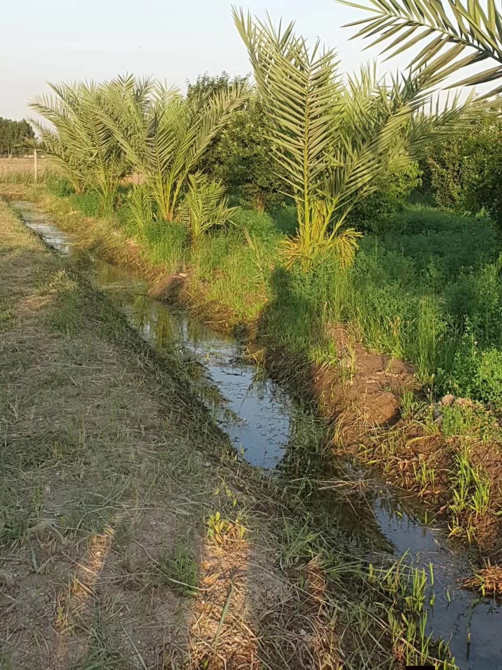 عرضان :
بستان نصف دونم 
طابو زراعي ، المنطقة سكنية ، ومسيج بالكامل واصل ماء وكهرباء وخدمات كاملة ع التبليط
السعر ٥٥ مليون مع المجال 
🌹🌹🌹
دونم للبيع طالبو زراعي 
منطقة سكنية 
السعر ٩٥ مليون للدونم 

📌 بغداد التاجي / زملة حمدي

***********
