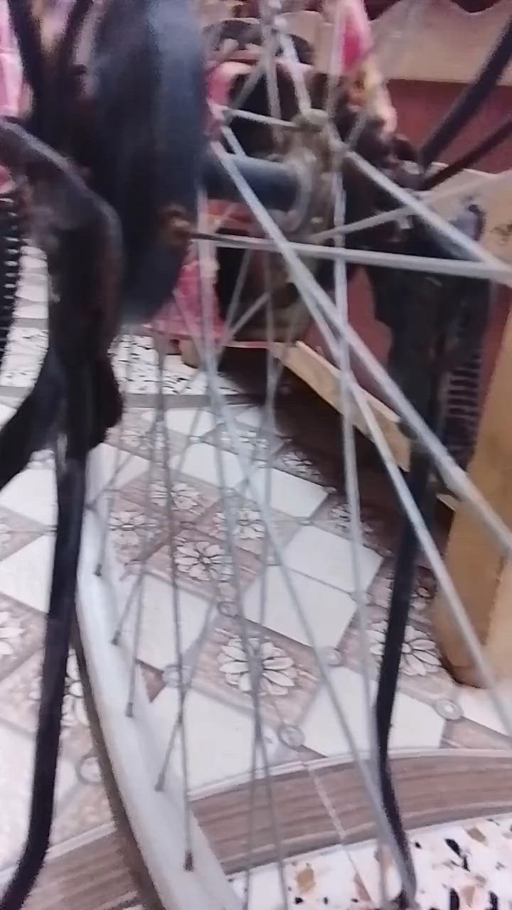السلام عليكم بايسكل موشم ناري جديد السعر.. 110وبي مجال


**إذا كنت صاحب هذا الإعلان وتريد حذفه لأي سبب، رجاءا أرسل رسالة إلى الدعم الفني**