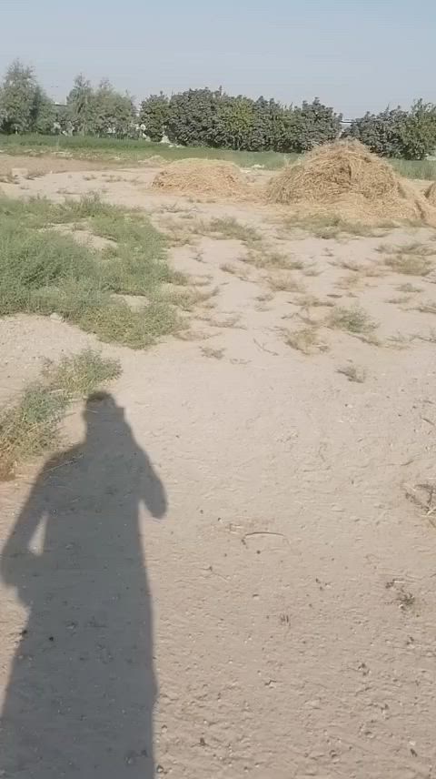 السلام عليكم ورحمة الله وبركاته
يوجد قطعة ارض للبيع المساحه ٤٥٠ م نزال ٣٠ واجه ١٥ مدفونه ومحدوله واصله كهرباء 
المكان الحبانيه الطابور قرب بيت حجي اكرم 
قريبه على شارع الطابور وقريبه على نهر الفرات 
السعر ٣٠ مليون وبيه مجال استفسار ***********
