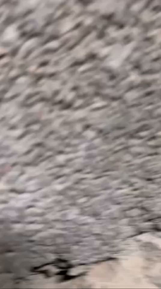 سلام عليكم سكنس فحل كوري لون اسود دراجه شرط وكاله جميع قطعه بلاديه شرط مكفوله عنوان بغداد شعب متواجد عله فيس واتساب رقمي ***********....
