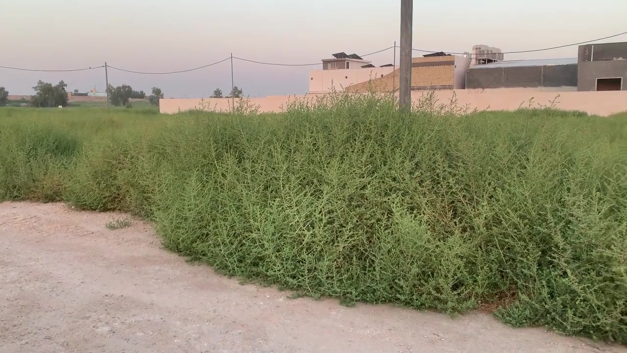 قطعتين ارض لبيع وحده  بصف الثانيه مساحة القطعه ٢٠٠متر تبعد عن الشارع العام ٣٠متر مجاوره لمدرسة دار العلم وبصفه حضانه موضحه بالفيديو قطعه ومحددات بالرسم الموجود وكل الخدمات بيه كهرباء مي 
الاتصال على الرقم 
***********
