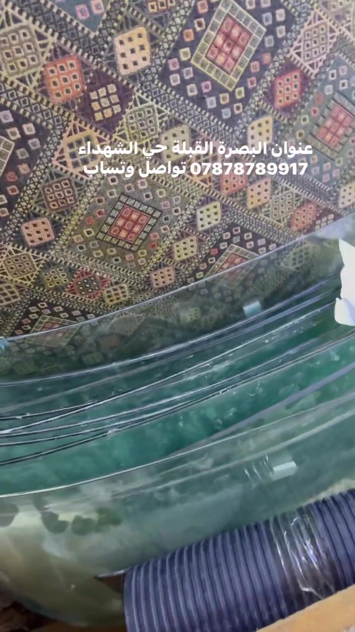 جام امامي مال تكتك تفيس بجاج وبياجو
عنوان البصرة القبلة حي الشهداء 
*********** تواصل وتساب
