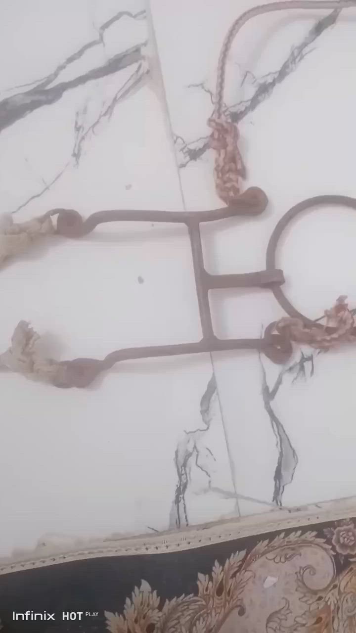 سلام عليكم الجام حياوي القديم الاصلي ومصدر للبيع مكاني الديوانية قضاء الحمزه الشرقي شراي يجي خاص


**إذا كنت صاحب هذا الإعلان وتريد حذفه لأي سبب، رجاءا أرسل رسالة إلى الدعم الفني**