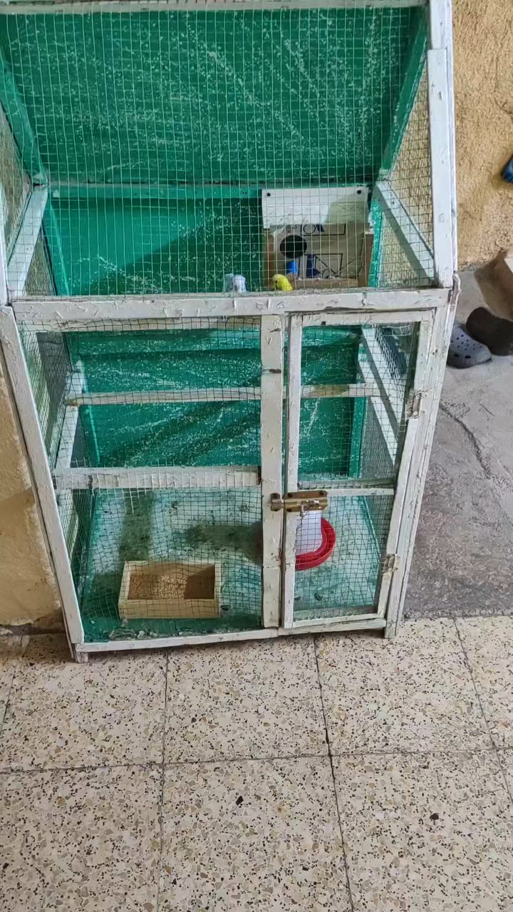 بس القفص متاح مكان كوت عل خاص


**إذا كنت صاحب هذا الإعلان وتريد حذفه لأي سبب، رجاءا أرسل رسالة إلى الدعم الفني**
