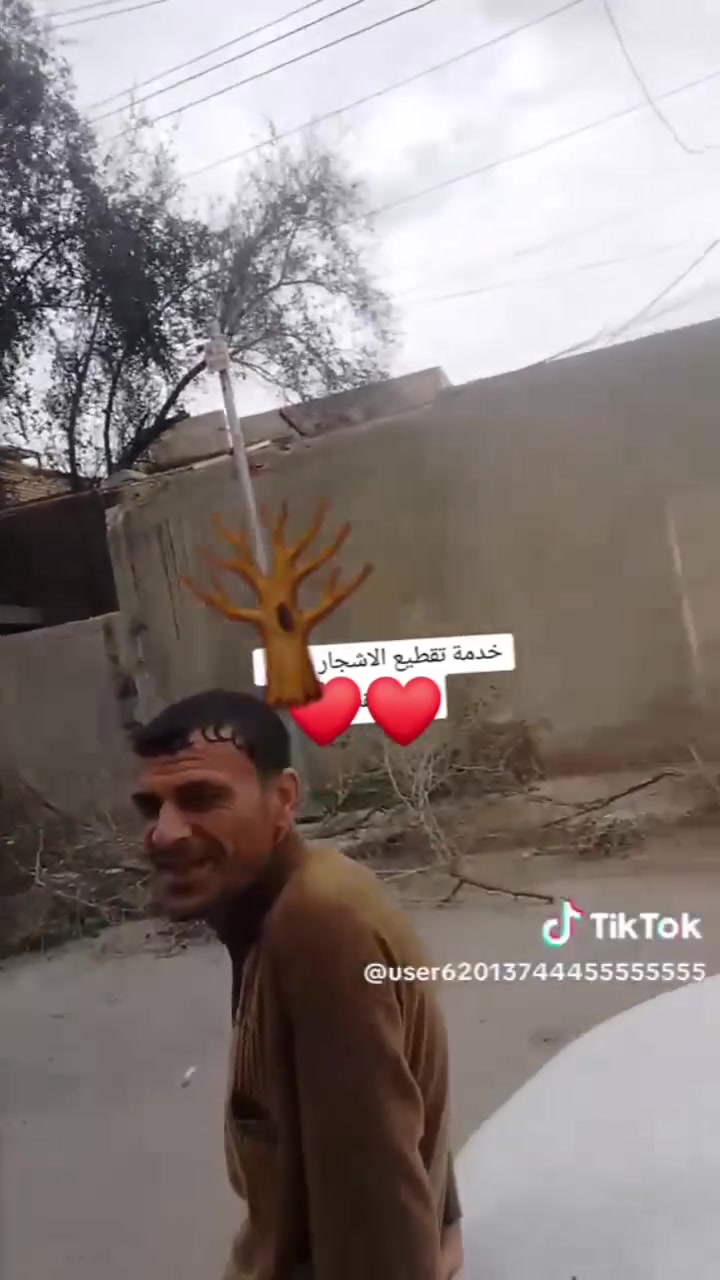 قص وتقليم الاشجار
مجاني داخل كنعان
***********

