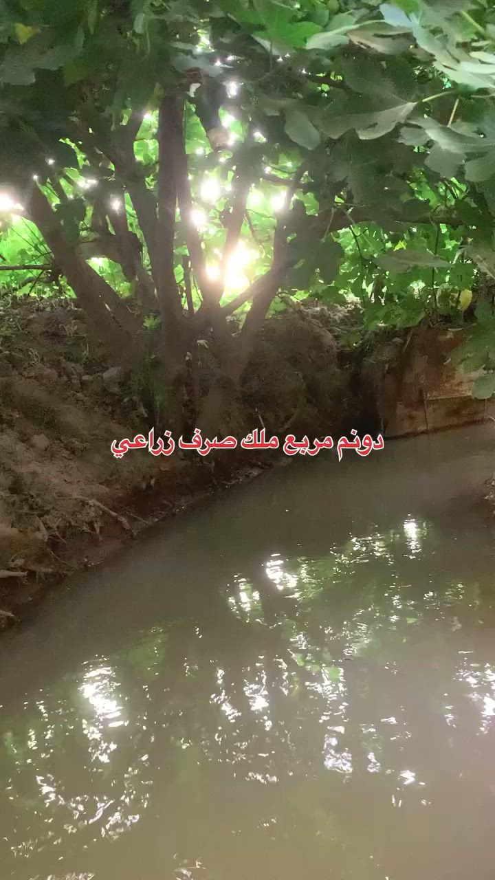 دونم ملك صرف زراعي
الراشدية 
بستان 
تنزل السدة مال الشط 150 متر 
واجهة 57 
السعر 180 
***********
