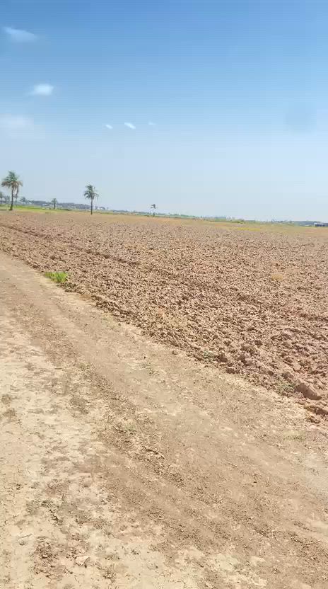 ( ٦٠) دونم للإيجار بالسنه ( ٣٥٠،٠٠٠)
العنوان / منطقة تونسيه / منطقة السيد عبدالله / قريبه على مركز المدينة
للاستفسار الاتصال او المراسلة عبر الواتساب على هذا الرقم ***********
