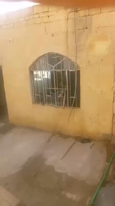 السلام عليكم البيت الإيجار منطقة دور الصحة الاستقبال كبيره غرفتين حمام ومطبخ الإيجار ٣٠٠بية مجال رقم ***********
