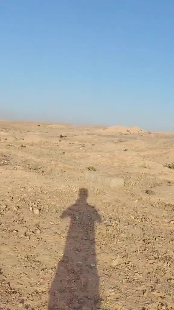 قطعه للبيع وراء المدرسه مال الشيخ اياد 250 متر وبيها رباط ارضيه والسعر 6 وبيها مجال قليل***********
