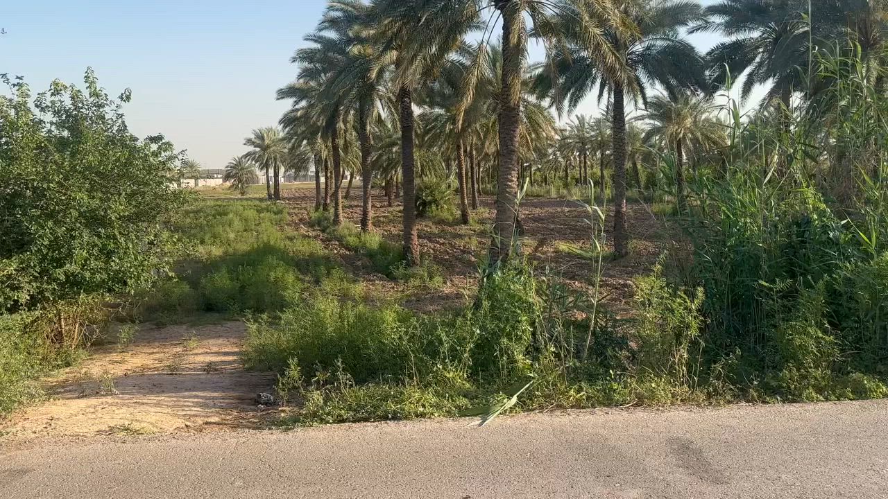 السلام عليكم 

دوانم ملك طابو صرف تحويل سند 

الموقع /بغداد الدوره عرب جبور 
قرب مزرعه شفيق المعجون 

المساحه 17500 /(7) دونم

الواجهه 45م بالنزال

*********** ابو علي
*********** ابو فهد
