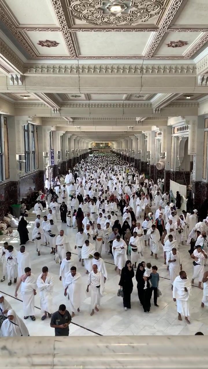 والله ما كدرة اصبر للصبح وكلش فرحني هل شي 

السعر بلاش يا ناس 

رحله يوم ٨/٥
و رحله ٨/١٠ 

بسعر ٤٥٠ الف دينار فقط 

نافسني بالخدمات لا تنافسني بالاسعار افضل 

حمزة الهذال *********** 
@إشارة للجميع 

تشمل جميع الخدمات 

المبيت في حائل 
٣ ايام مدينه المنوره منطقة المركزيه 
٧ ايام مكه المكرمه منطقة محبس الجن 

الاحرام الرجالي والنسائي 

الباصات الحديثه 

الفنادق القريبه 

المزارات مكه والمدينه 

المولات والرحلات الترفيهيه 

سارع بالحجز

