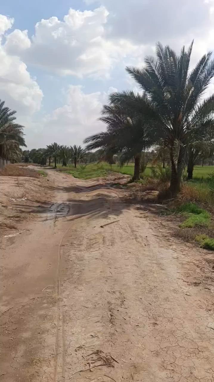 أرض تــجــاريــة لــلــبــيــع 
━━━━━━━━━━━━━━━━━━━━
📐 الــمــســاحــة: 3500 متر
📍 الــمــوقــع: بابل – قرب ناحية النيل
تقع بين الحلة والنيل
📍 واجــهــة مــبــاشــرة عــلــى الــطــريــق الــدولــي
الواجهة ١٨ متر 
━━━━━━━━━━━━━━━━━━━━
📜 الــســنــد: طــابــو زراعــي – ســنــد 25
✔ ســنــد واحــد بــاســم شــخــص واحــد
━━━━━━━━━━━━━━━━━━━━
💼 مــوقــع اســتــثــمــاري مــمــيــز جــداً
✔ مــثــالــي لإنــشــاء مــخــازن
✔ مــنــاســب لــلــمــشــاريــع الــتــجــاريــة الــكــبــيــرة
━━━━━━━━━━━━━━━━━━━━
💰 الــســعــر: ٥٠٠ مليون 
━━━━━━━━━━━━━━━━━━━━━
📞 لــلــاســتــفــســار والــاتــصــال
🏢 مــكــتــب عــقــارات أَبــراج بــابــل:
• ***********
• ***********
• ***********
🏢 مــوقـــع الــمــكــتــب:
📍 بــابــل – حــي الــجــزائــر – مــقــابــل الــجــســر الــدولــي
━━━━━━━━━━━━━━━━━━━━━━
