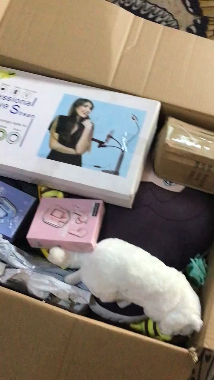 حباب كارتون مال تعزيله 30 واصل


**إذا كنت صاحب هذا الإعلان وتريد حذفه لأي سبب، رجاءا أرسل رسالة إلى الدعم الفني**