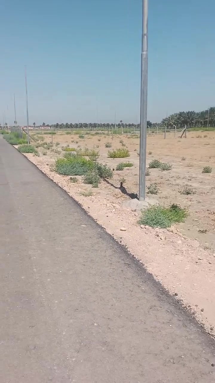 سلام عليكم شباب قطعه راض للبيع طابو زراعي سند ٢٥ تحويل مباشر بسم المشتري متوفره كافت الخدمات ماء وكهرباء وتبليط العنوان حله قرب سيده شريفه أخون المكان جدآ جدآ مرتب تصلح سكن تصلح مزرعه التفاصيل أكثر انتصل أو مراسله عل هاي صفحه ***********
