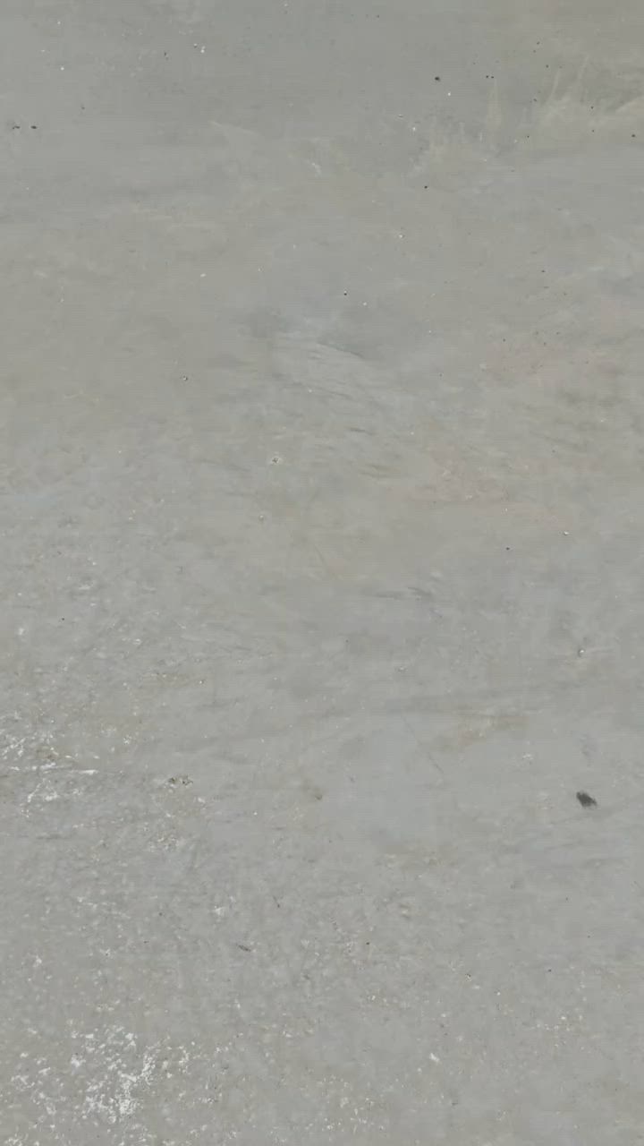 يوجد سقل بيوت ساحات اي شي كراجات صطح بيوت كوبتر جديد ونطي شغل بل شرط ان شأالله / اي مكان جان ماعليك بس اتصل ان شأالله  الله يرزق الجميع / ***********
