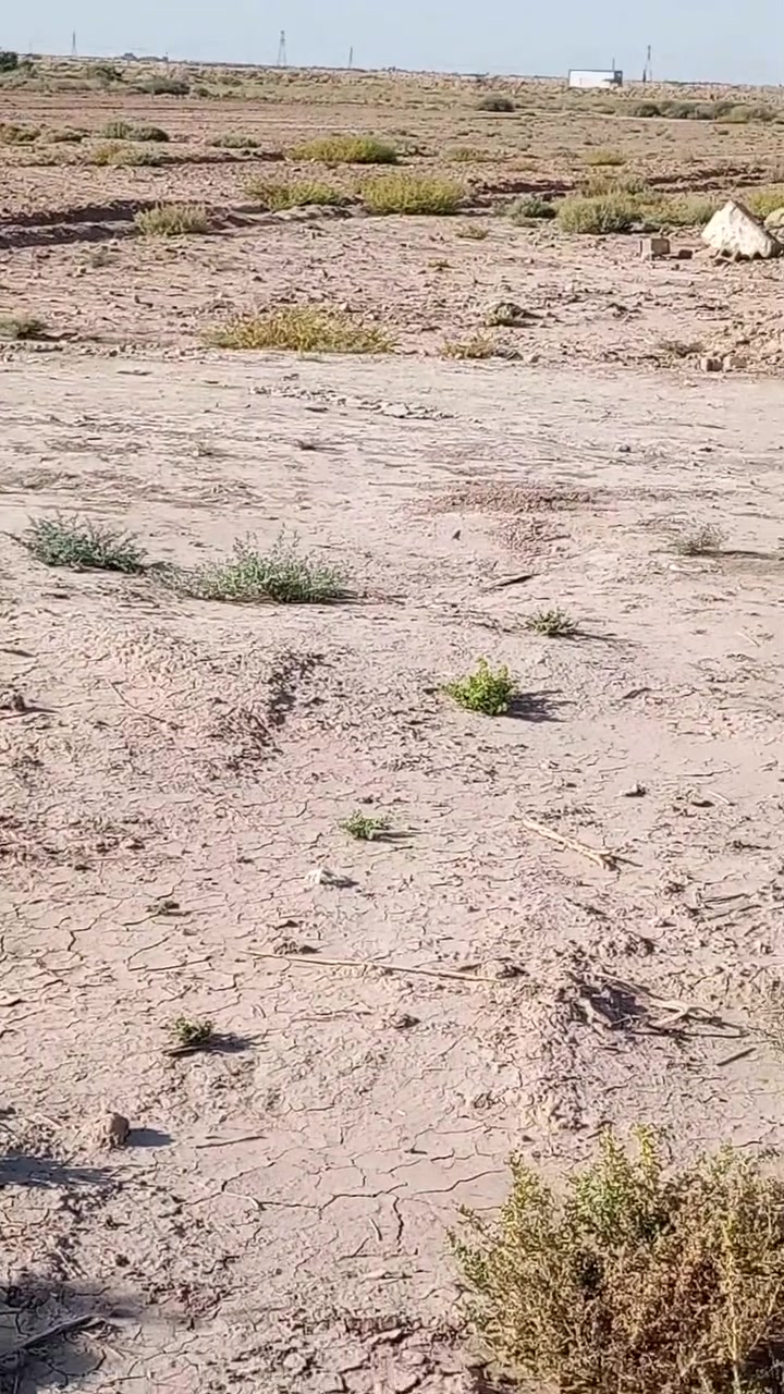 اسلام عليكم اخوان
5 دوانم للبيع مكان نهروان 9 نيسان كهرباء بيهن مي اساله جاي يشتغلون بي  تفاصيل أكثر اتصل ***********
