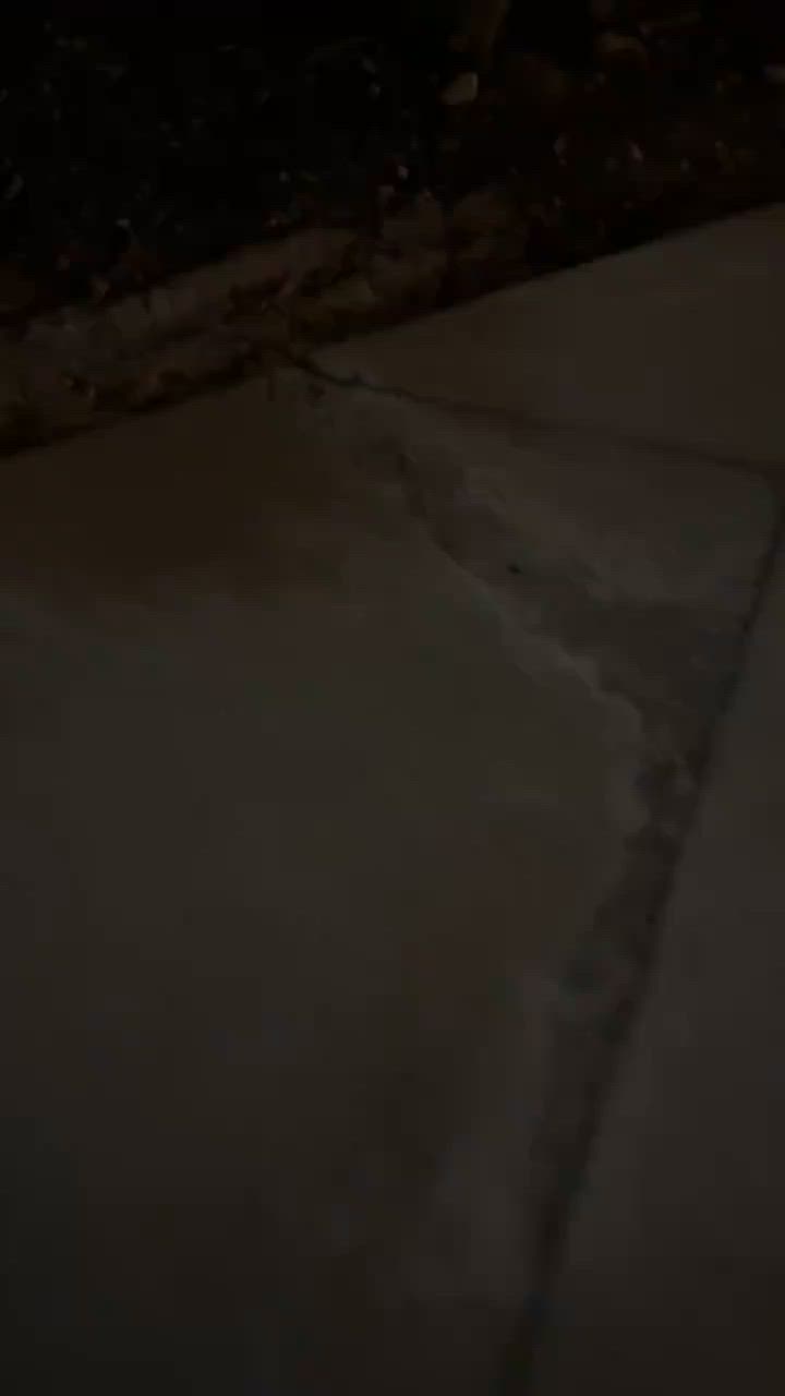 چَنها العافيه🚀


**إذا كنت صاحب هذا الإعلان وتريد حذفه لأي سبب، رجاءا أرسل رسالة إلى الدعم الفني**
