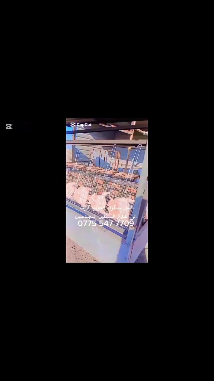 انتقل مسكوف الجزيرة كارب الى شارع فلسطين المهندسين قرب حيدر ماركت للحجز ‏‪***********‬‏ عبودي
