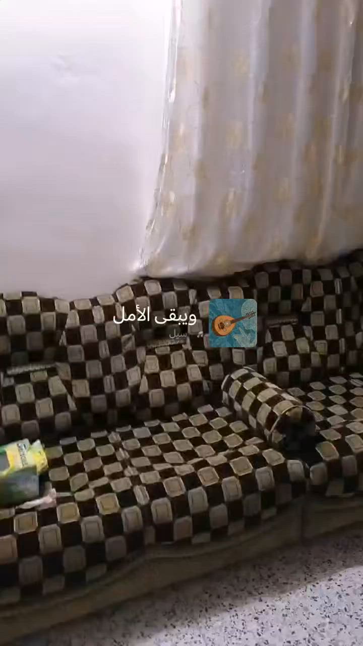 ديوان للبيع الشراي يجي على الخاص


**إذا كنت صاحب هذا الإعلان وتريد حذفه لأي سبب، رجاءا أرسل رسالة إلى الدعم الفني**