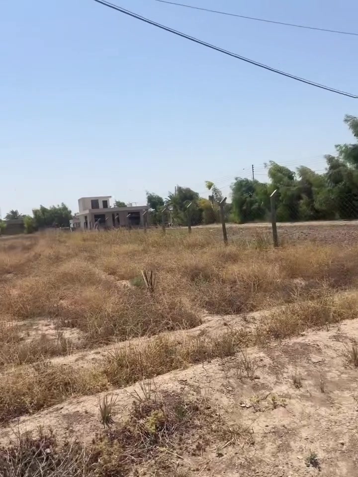 ارض زراعيه طابو ملك صرف ببو غريب حميد شعبان الزوينات سند 25 دونم للاستفسار الاتصال على الرقم ***********
