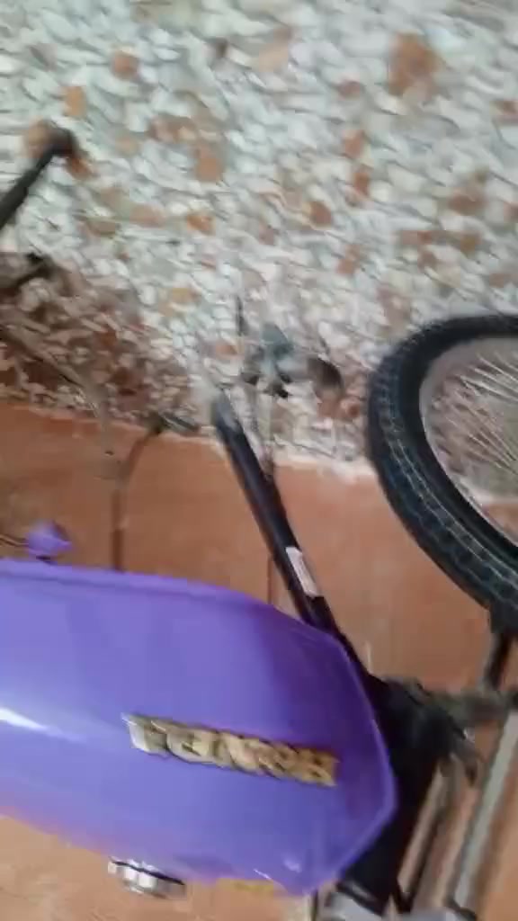 دراجه للبيع بدون مكينه دراجه حلوه قيم بل يرضي الله وخابرني لوتي تصير تعرف بيمن اهينك هاذه رقمي ***********
