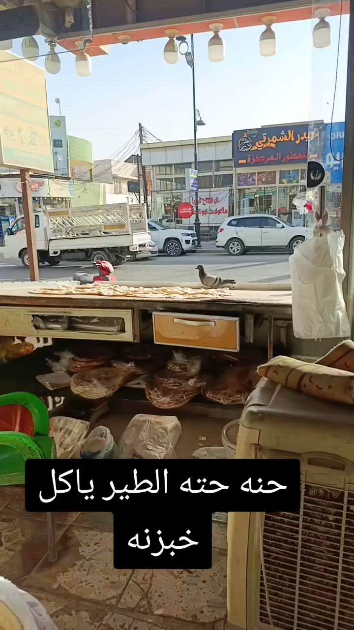 شوف المشهد الروحاني احنا حتى الطير ياكل من خبزنا خبزنا ايش قد طيب واحنا هم طيبين#النجف #مخبز #النجف_الأشرف #مخبوزات #افران #العراق #نجف #نجف_اشرف #عراق #2026❤️


**إذا كنت صاحب هذا الإعلان وتريد حذفه لأي سبب، رجاءا أرسل رسالة إلى الدعم الفني**