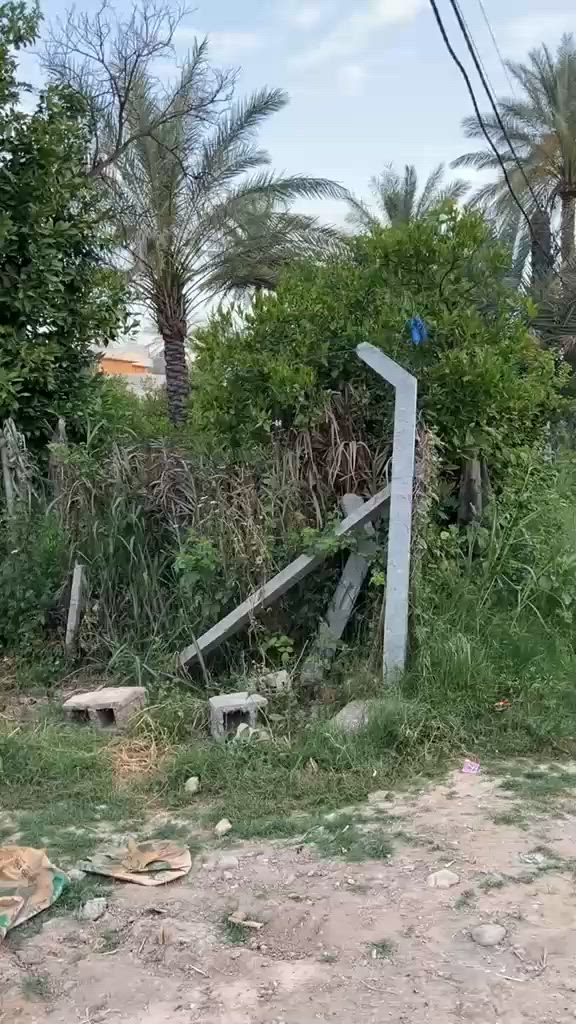 حياكم الله بستان المساحه 1400متر واجه 65نزال 22 طابوسند25 العنوان بغدادالراشديه الشارع الي يربط بين جزيرة بغداد السياحيه وناحية الراشديه
الستفسار أكثر اتصل ***********
