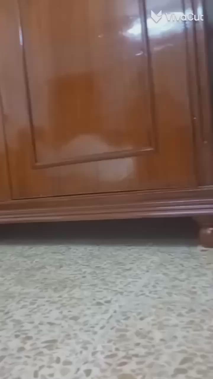 غرفه ٦باب ملحق شغل ثقيل درجه أوله صاج ٥ملم نظافتها ١٠٠ بل ١٠٠ العنوان موصل الجديده السعر عل خاص


**إذا كنت صاحب هذا الإعلان وتريد حذفه لأي سبب، رجاءا أرسل رسالة إلى الدعم الفني**