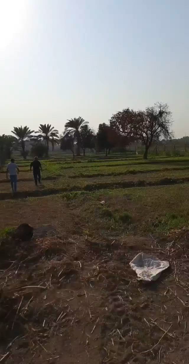 السلام عليكم ارض 3 دونم منطقه التويثه على نهر دجله مباشرتا   الواجه 30 والنزال 255
بأسمي السند 

***********
