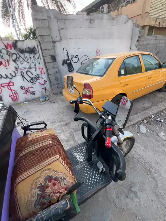 ستوتات شعر بنات للبيع كن نقص ما بيهن سعر خاص البكان بغداد زعفرانيه سعر مناسب


**إذا كنت صاحب هذا الإعلان وتريد حذفه لأي سبب، رجاءا أرسل رسالة إلى الدعم الفني**
