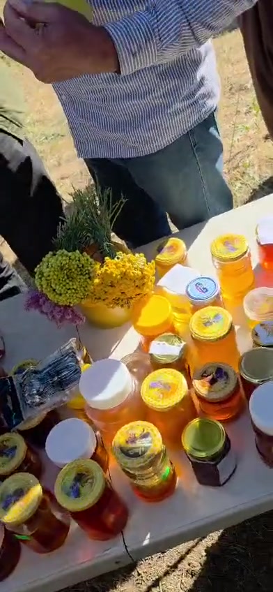 الحمدلله أولاً وآخراً🍯 🐝
عسل الشوكيات او المرير هو أحد أنواع العسل البري الفريدة والمميزة للغاية، يُستخلص من رحيق أزهار نباتات بريه بالرغم من طعمه الذي يميل إلى المرارة، إلا أنه يحمل قيمة غذائية وعلاجية استثنائية تجعله مفضلاً لدى الكثيرين.
* أبرز الفوائد الصحية المثبتة:
1. دعم صحة الجهاز الهضمي والقولون
يُعد هذا العسل صديقاً ممتازاً للمعدة والأمعاء، حيث يساهم في:
• تهدئة القولون العصبي: يساعد في تقليل التشنجات والانتفاخات المصاحبة لتهيج القولون.
• تحسين الهضم: تنشيط إفراز العصارات الهضمية بفضل المركبات المرة الطبيعية الموجودة فيه، مما يقلل من عسر الهضم.
• مكافحة قرحة المعدة: يمتلك خواص مضادة للبكتيريا (مثل بكتيريا H. pylori المسببة للقرحة) ويساعد في ترميم جدار المعدة.
2. تنشيط الكبد وتطهير الجسم من السموم
يحتوي عسل المرير على مركب السيليمارين ومضادات أكسدة قوية تعمل على:
• تحفيز وظائف خلايا الكبد وتجديدها.
• المساعدة في طرد السموم المتراكمة في الجسم وتنشيط الدورة الدموية.
3. تعزيز المناعة ومقاومة الالتهابات
يتميز باحتوائه على نسبة عالية جداً من الفينولات والفلافونويد (مضادات الأكسدة)، مما يمنحه قدرة فائقة على:
• مقاومة مسببات الأمراض: يعمل كمضاد حيوي طبيعي ضد البكتيريا والفيروسات.
• تخفيف التهابات المفاصل: يقلل من الإجهاد التأكسدي في الجسم، مما يساعد في تخفيف الآلام الالتهابية.
4. تنظيم مستويات السكر في الدم (بإشراف طبي)
على عكس أنواع العسل شديدة الحلاوة، يمتلك عسل المرير مؤشراً غليسمياً (مؤشر السكر) منخفضاً نسبياً. المركبات المرة فيه تساهم في تحسين حساسية الخلايا للإنسولين، مما يجعله خياراً آمناً بكميات معتدلة لمرضى السكري، بشرط مراقبة القراءات.
5. مكافحة فقر الدم والضعف العام
يحتوي على تركيز جيد من المعادن الأساسية والفيتامينات التي تساعد في:
• تحفيز إنتاج خلايا الدم الحمراء (الهيموغلوبين).
• تزويد الجسم بالطاقة الحيوية ومقاومة حالات الخمول والضعف العام.
***طريقة التناول
لتحقيق أقصى فائدة علاجية وصحية من العسل ، يُفضل تناوله بجرعات مدروسة وبطرق تضمن امتصاص الجسم لمركباته الفعالة دون إجهاد الجهاز الهضمي.
إليك الدليل الكامل للجرعات وطرق الاستخدام الصحيحة:
أولاً: الجرعة اليومية الموصى بها
• للبالغين (الوقاية والصحة العامة): من 1 إلى 2 ملعقة كبيرة يومياً (حوالي 20-40 غرام).
• للبالغين (لأغراض علاجية - كالقولون أو الكبد): يمكن زيادة الجرعة إلى 3 ملاعق كبيرة يومياً، مقسمة على مدار اليوم.
• للأطفال (فوق سن السنتين): من 1 إلى 2 ملعقة صغيرة يومياً. (تنبيه: يُمنع تماماً إعطاء العسل للأطفال دون سن السنة الأولى).
ثانياً: أفضل طرق تناول العسل
1. الطريقة الذهبية: مع الماء الدافئ على الريق
تعتبر هذه الطريقة الأفضل لامتصاص العناصر الغذائية سريعاً وتطهير الجهاز الهضمي:
• ملعقة كبيرة من عسل المرير في كوب من الماء الفاتر (وليس الساخن جداً، لأن الحرارة العالية تكسر الإنزيمات ومضادات الأكسدة).
• اشربه في الصباح الباكر على معدة فارغة، وانتظر من 30 إلى 45 دقيقة قبل تناول وجبة الإفطار.
2. قبل الوجبات (لمشاكل القولون والمعدة)
إذا كنت تستخدمه لعلاج اضطرابات القولون العصبي، قرحة المعدة، أو عسر الهضم:
• خذ ملعقة صغيرة من العسل مباشرة بدون ماء قبل الوجبات الرئيسية بـ 20 دقيقة. هذا يساعد على تشكيل طبقة حامية ومطهرة لبطانة المعدة والأمعاء.
3. قبل النوم (للاسترخاء وتنشيط الكبد)
• تناول ملعقة صغيرة ممزوجة بكوب من الماء الدافئ أو البابونج قبل النوم بساعة. يساعد ذلك الكبد على القيام بعمليات التنقية الحيوية خلال فترة النوم، كما يهدئ القولون ليلاً.
ثالثاً: نصائح وإرشادات هامة
• ملاحظة لمرضى السكري: بالرغم من أن عسل المرير يمتلك مؤشراً غليسمياً منخفضاً مقارنة بالأنواع الأخرى، إلا أنه يحتوي على السكريات الطبيعية (الفركتوز والجلوكوز). لذلك، يجب استشارة الطبيب المعالج واحتسابه من ضمن الحصة اليومية للكربوهيدرات مع مراقبة مستوى السكر في الدم.
***الحفظ والتخزين: يُحفظ العسل في عبوته الزجاجية الأصلية محكمة الإغلاق، في مكان مظلم وجاف بدرجة حرارة الغرفة (بين 18-25 درجة مئوية)، بعيداً عن ضوء الشمس المباشر أو الرطوبة.
ملاحظة مهمه يعرفها كل نحال:
التبلور (كما يقولون مشكر)
هي صفه العسل الطبيعي ليس كما يشاع أنها علامة على الغش.
$ السعر حسب كمية العسل
موجود الشيشة 25 ألف 650 كغم
كذلك 30 ألف 750كغم
اما الكيلو صافي 35 ألف
لتواصل
***********
