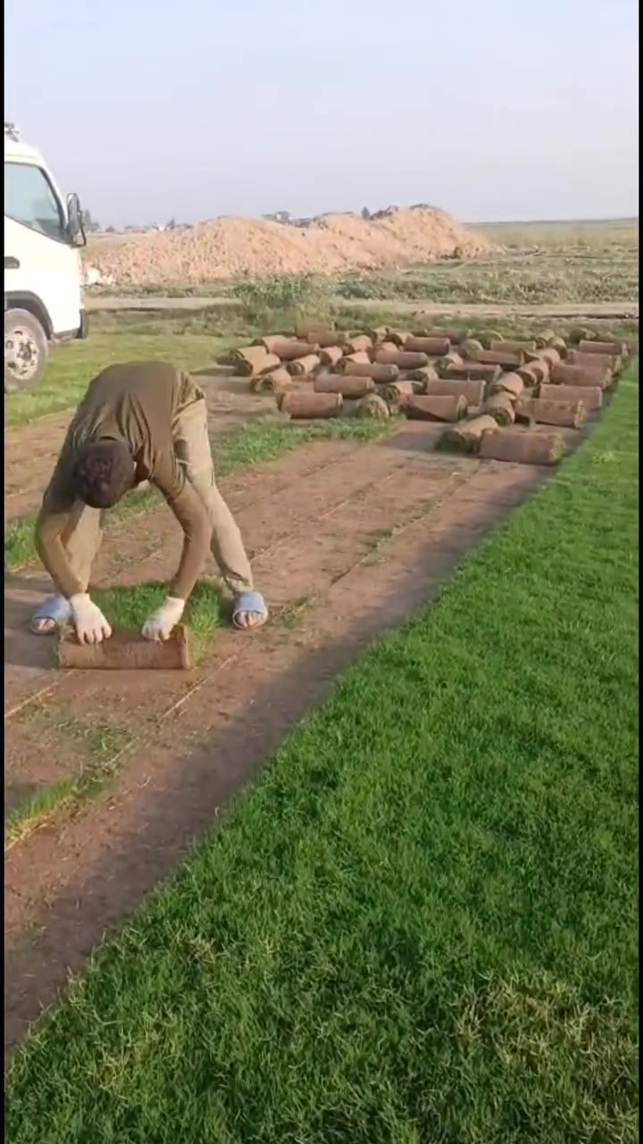 باسعار ثيل ديالى الطبيعي 🏡
أهلاً بكم في مجموعه مزارع ابو عباس الثيل  الهندي الطبيعي مزارع ديالئ 🌿🌱

 نقدم لكم افضل انوع الثيل الطبيعي عالي الجوده يتحمل كافه الضروف البيئية.🌦️🌞

دائم الخضرة🌿🌳 وباسعار تنافسيه ☘️❤️

#مستعدون لتجهيز وفرش الحدائق🏡 ودوائر الدولة🏡والمنازل🏡🏡

و تجهيز الملاعب🏟️ والمنتزهات الجودة العالية في العمل👷👷

مع خدمة التوصيل خلال24ساعه🚛🚛

الاسعار 💵💸 تختلف حسب الكمية 

للاستفسار الاتصال على : الرقم 

او التواصل مع الصفحه  او ارسال رسالة على الوتساب ‏‪ 

التصال والستفسار *********** او ***********
