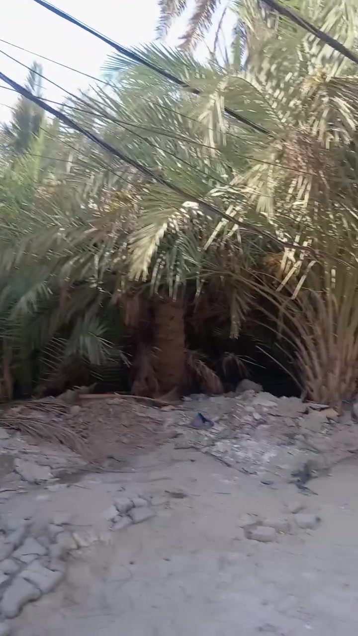 مكتب ابو محمد الظالمي للعقارات بالقشله مقابيل كهاوي النركيله بصف حسن المصور *********** او ***********

قطعه للبيع ٣٦٤ متر بالصياغ الواجهة ١٣ متر والنزال ٢٨ متر قريبه على السايدين الصياغ قرب ال ايدام داخل الفرع شارع مقرنص مجاري المكان مخدوم السعر ٩٠ مليون مع المجال الاتصال على الأرقام اعلاه وباقي التفاصيل داخل الفديو
