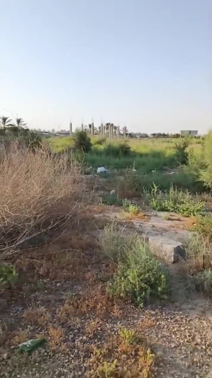 عله بركة الله جايبلكم
 قطعه ١٢٠ متر بحي الازدهار 
الواجهه ٨ونص والنزال ١٤  قطعه ركن حلوه حيل
نوع العقار سند زراعي  25 تحويل مباشر 
بأسم المشتري وسعرها كلش مناسب 
للاستفسار اكثر اتصل 
***********

