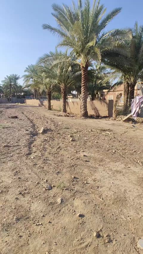 قطع ارظى مساحه 800متر  في  كربلاء شارع بغداد خلف جامعة وارث خلف مدينة سيد الاوصياع  تفاصيل كامله داخل الفيديو كافة الخدمات  ماء كهرباء مؤلد   كلشي متوفر الاستفسار اتصل واتساب *********** *********** ***********
