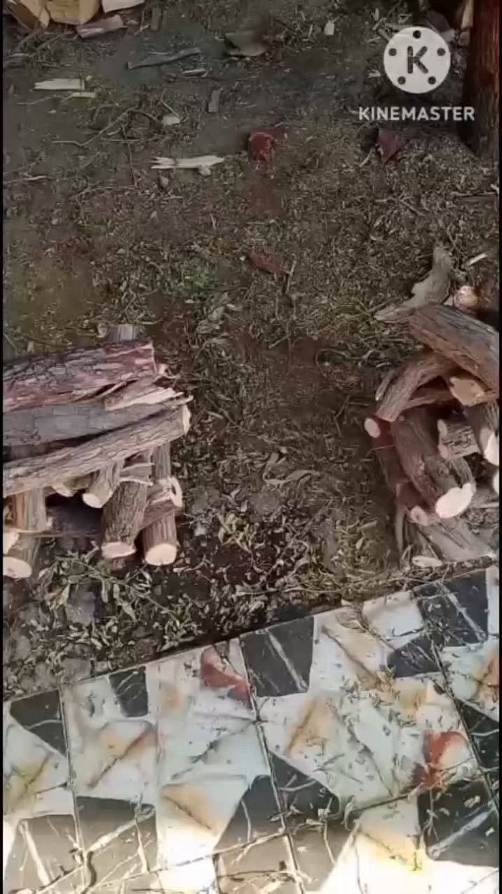 يا الله سلام عليكم يتوفر حطب طرفه زور 100كيلو 15الف اليريد يراسلني او يدليل التوصيل مجاني داخل البدير ***********
